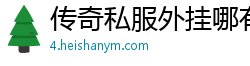 传奇私服外挂哪有买的